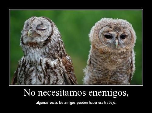 Sin Nombre