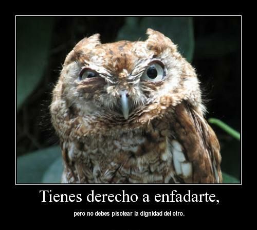 Sin Nombre